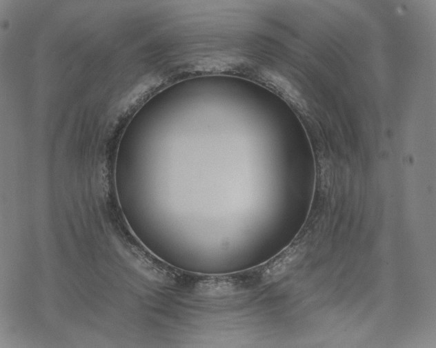 X0000074310354200609011518