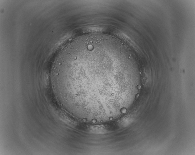 X0000074310355200609011518