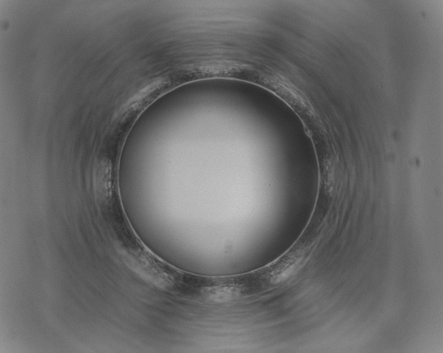 X0000074310356200609011518