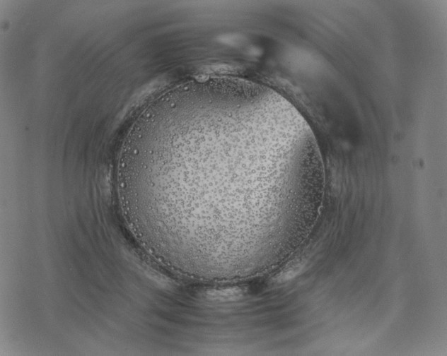 X0000074310357200609011518