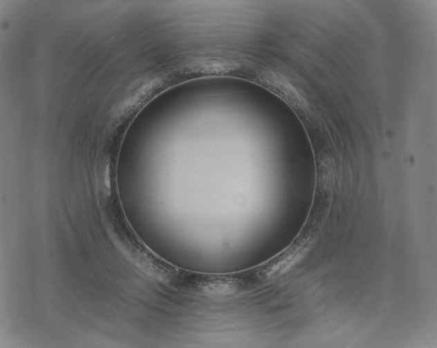 X0000074310358200609011518