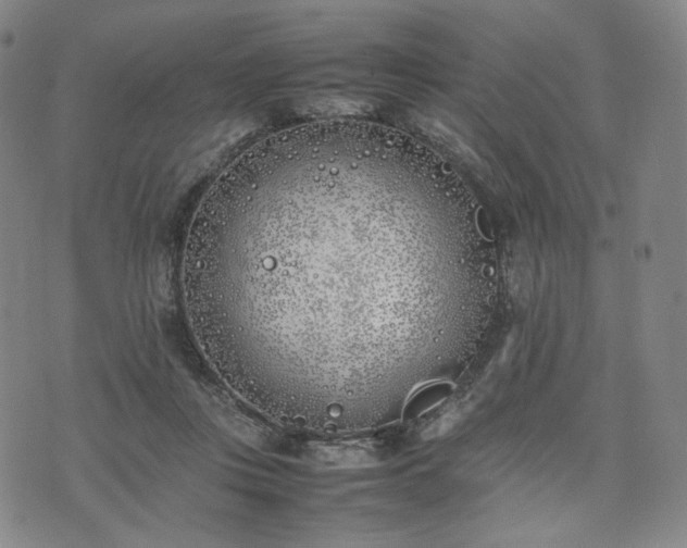 X0000074310359200609011518