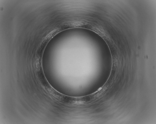 X0000074310360200609011518