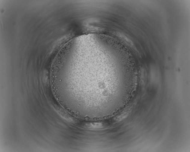 X0000074310361200609011518