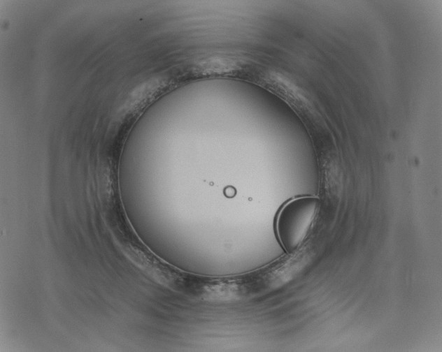 X0000074310362200609011518