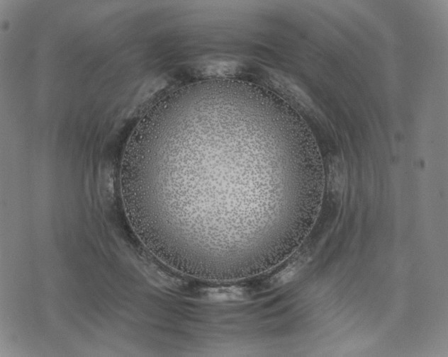 X0000074310363200609011518