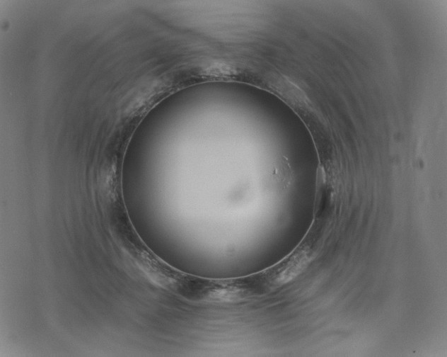 X0000074310364200609011518