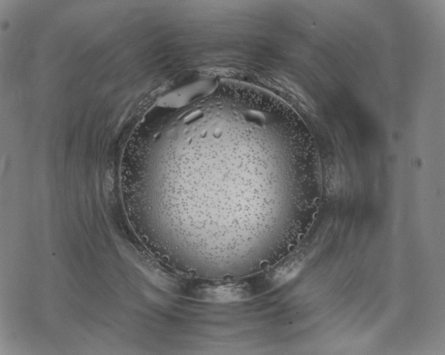 X0000074310365200609011518