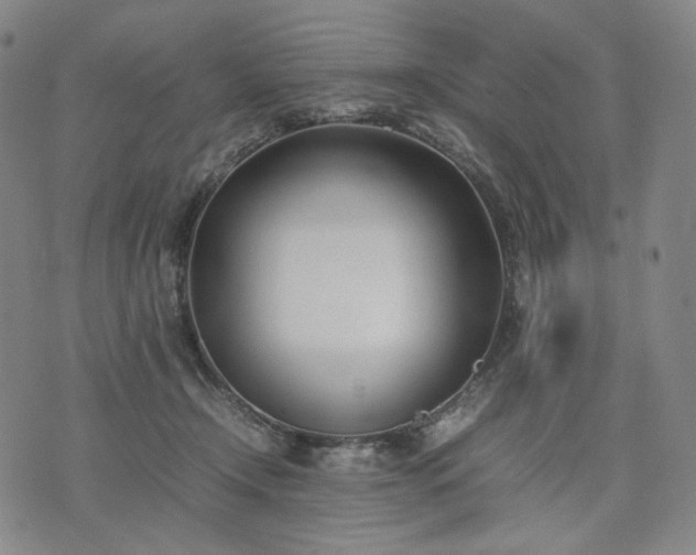 X0000074310366200609011518