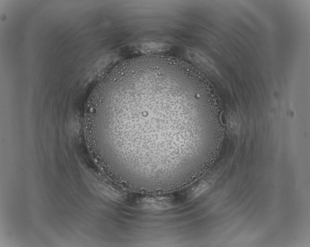 X0000074310367200609011518