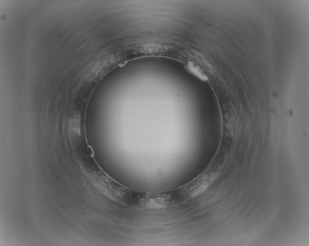 X0000074310368200609011518