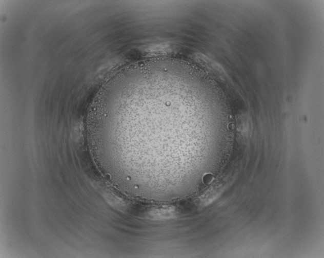 X0000074310369200609011518