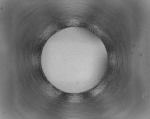 X0000074310370200609011518