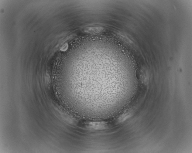 X0000074310371200609011518