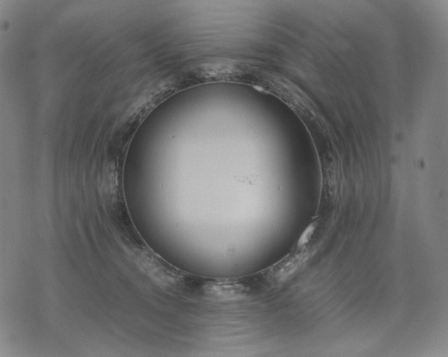 X0000074310372200609011518