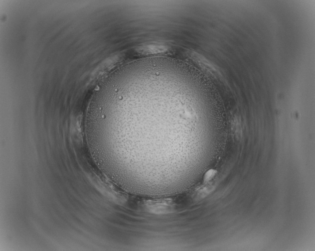 X0000074310373200609011518