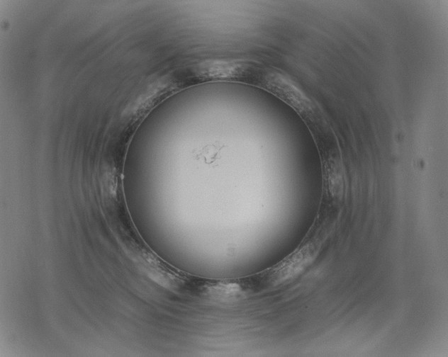 X0000074310374200609011518