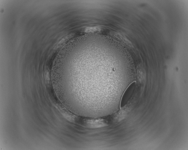 X0000074310375200609011518