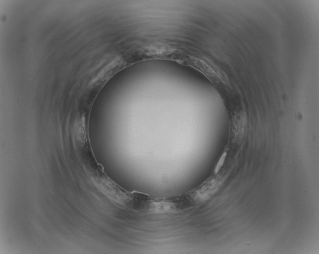 X0000074310376200609011518