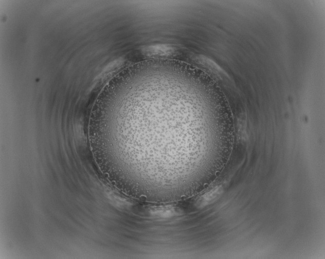 X0000074310377200609011518