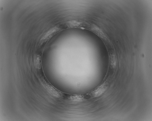 X0000074310378200609011518