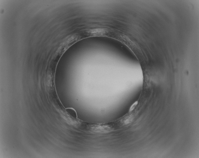 X0000074310379200609011518