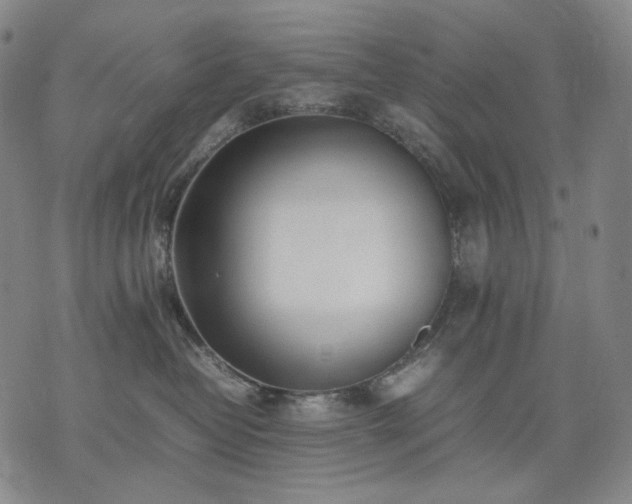 X0000074310382200609011518