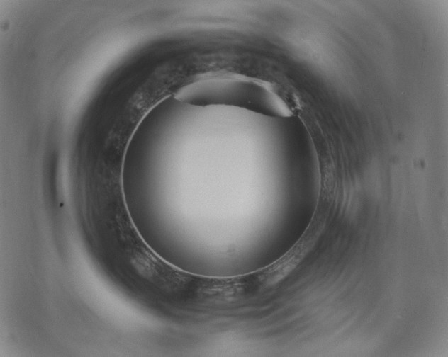 X0000074310383200609011518