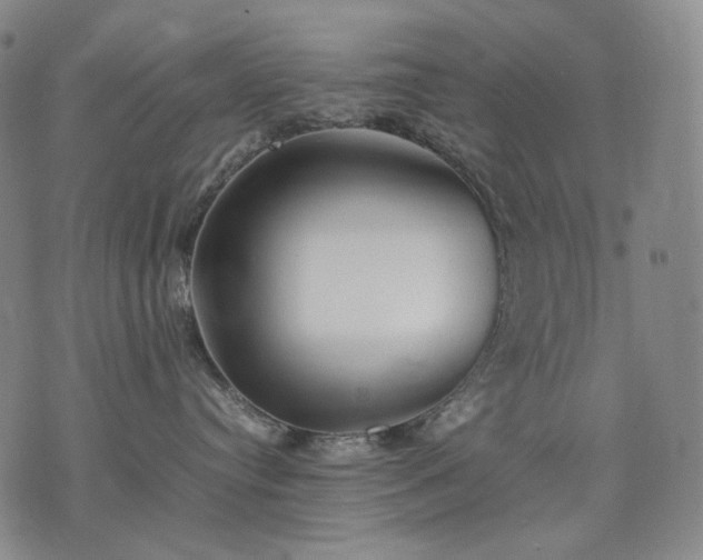 X0000074310384200609011518