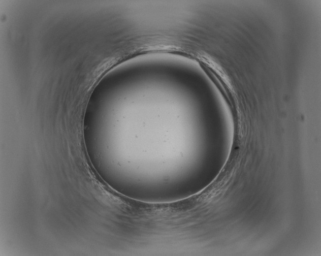 X0000074310385200609011518