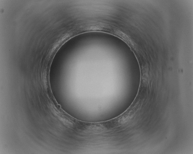 X0000074310386200609011518