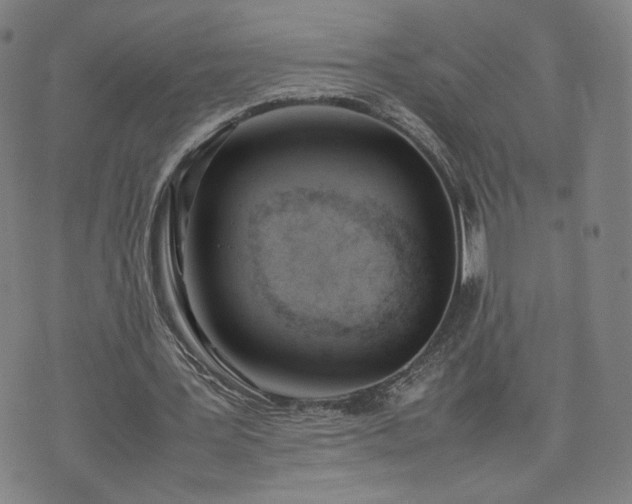 X0000074310387200609011518