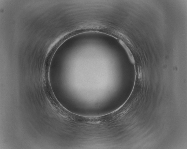 X0000074310388200609011518