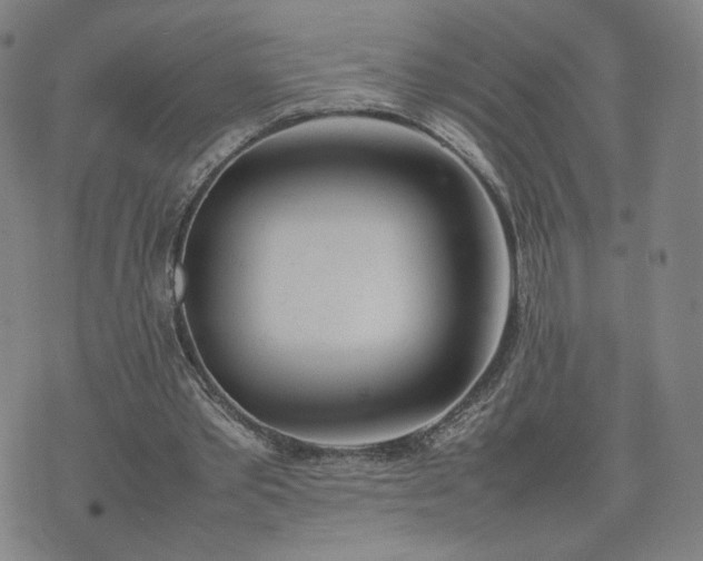 X0000074310389200609011518