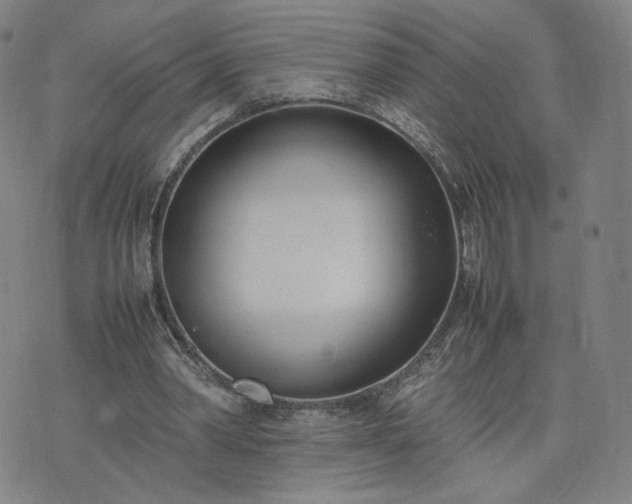 X0000074310390200609011518