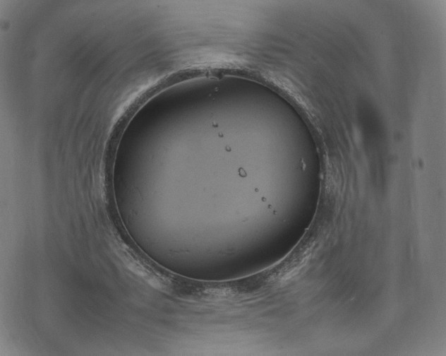 X0000074310391200609011518