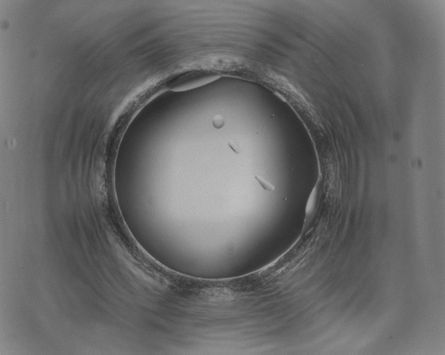 X0000074310392200609011518