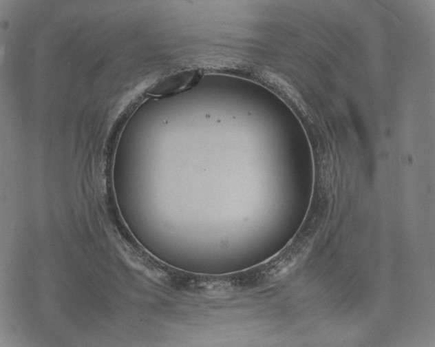 X0000074310395200609011517