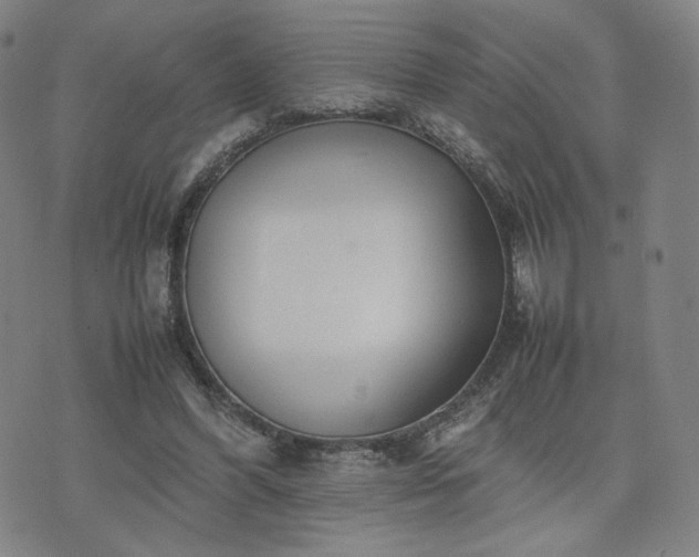 X0000074310396200609011517