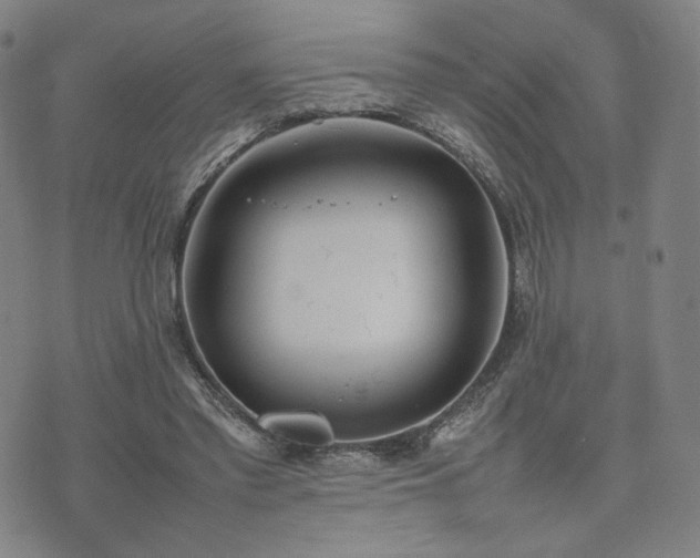 X0000074310397200609011517