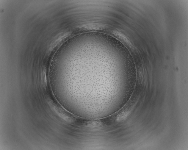 X0000074310398200609011517