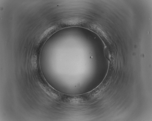 X0000074310400200609011517