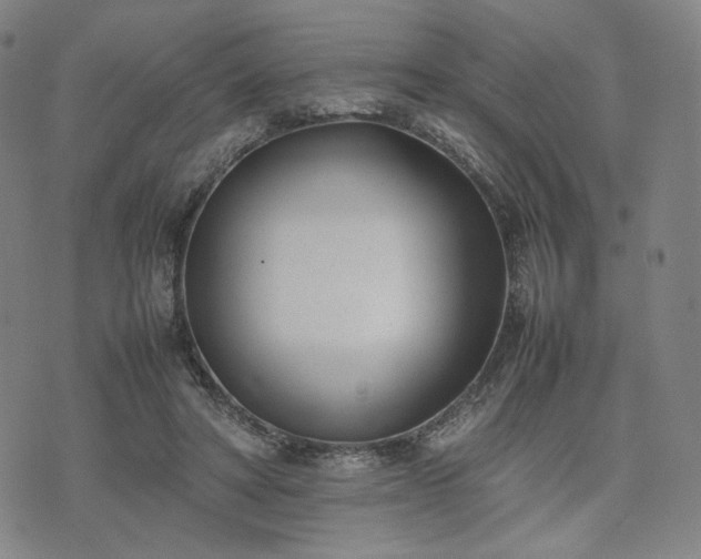 X0000074310402200609011517