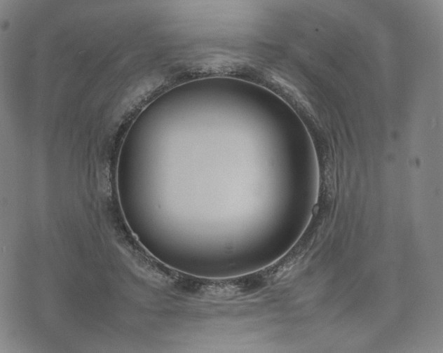 X0000074310403200609011517