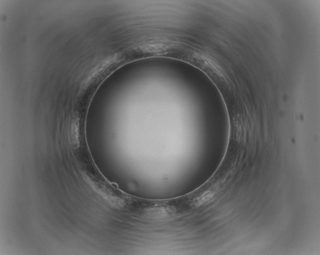 X0000074310404200609011517