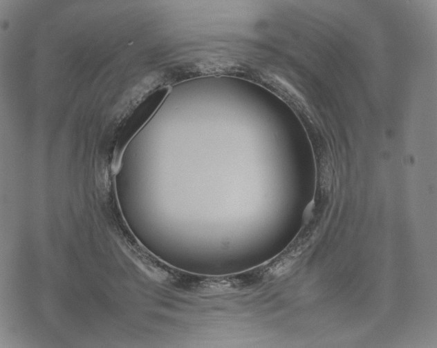 X0000074310405200609011517