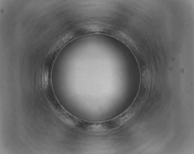 X0000074310406200609011517