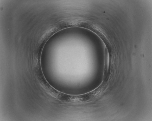 X0000074310407200609011517