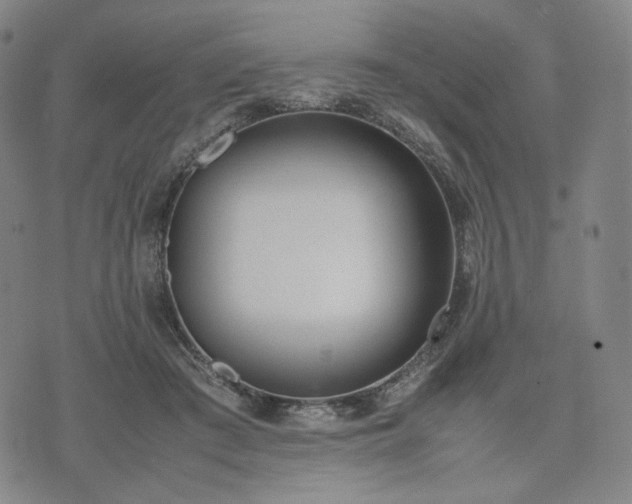 X0000074310409200609011517