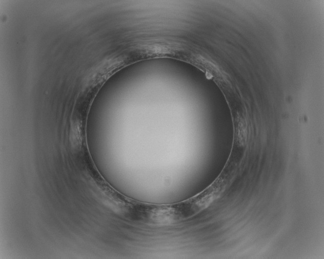 X0000074310410200609011517